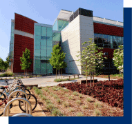 Beautiful modern building, trees, and bicycles