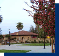 flowering trees and palm trees on campus