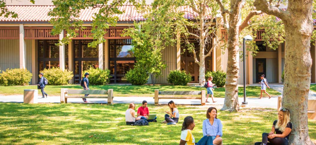 students relax under large trees