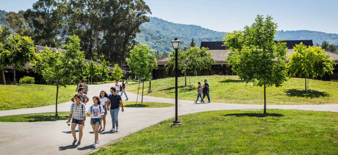 students walking on sunny green campus