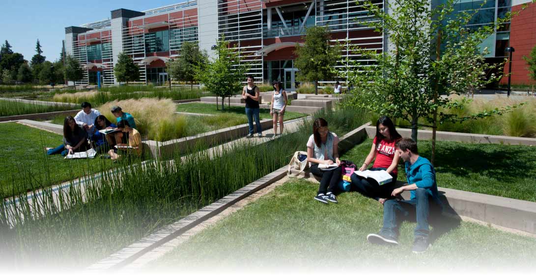 students reading in grass on campus